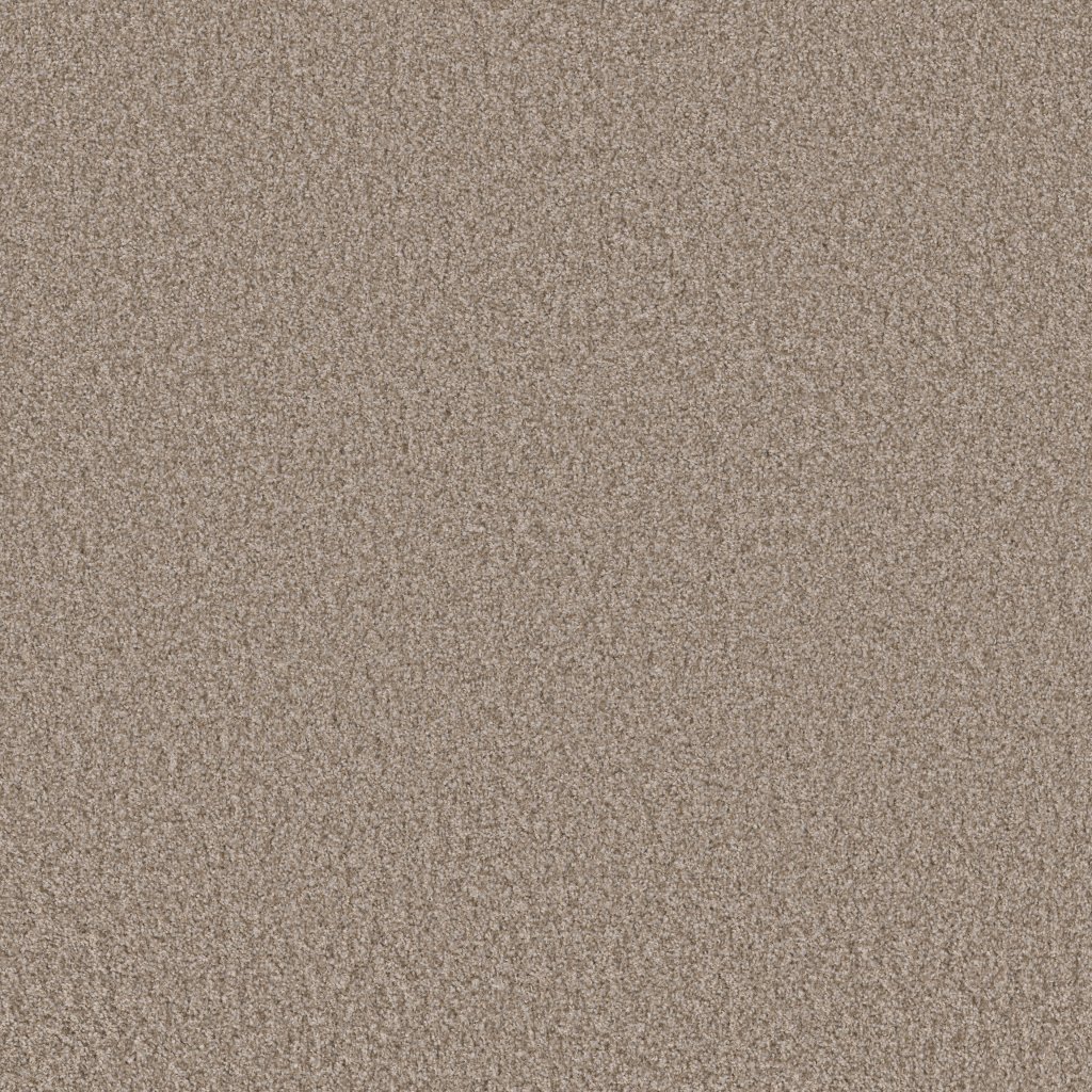 Shaw Floors Take Away (T) - Frontier
