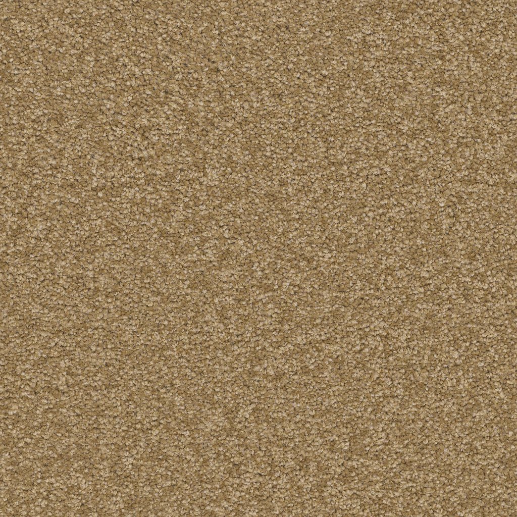 Shaw Floors Timeless Appeal Ii 12' - Spanish Tile