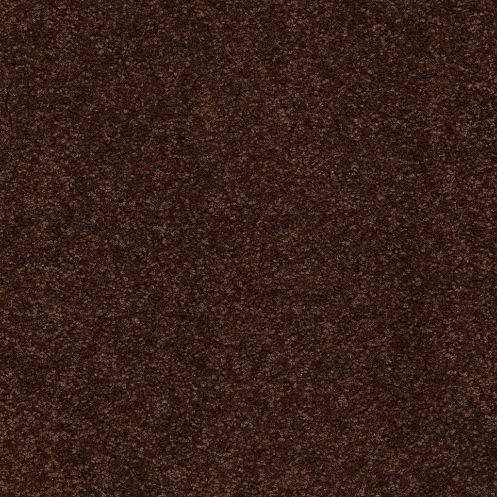 Shaw Floors Ultimate Expression 12' - Coffee Bean