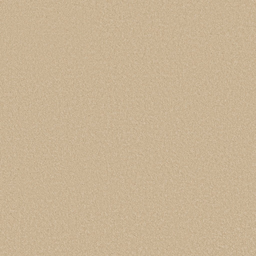 Shaw Floors Timeless Appeal III 12' - Blue Suede