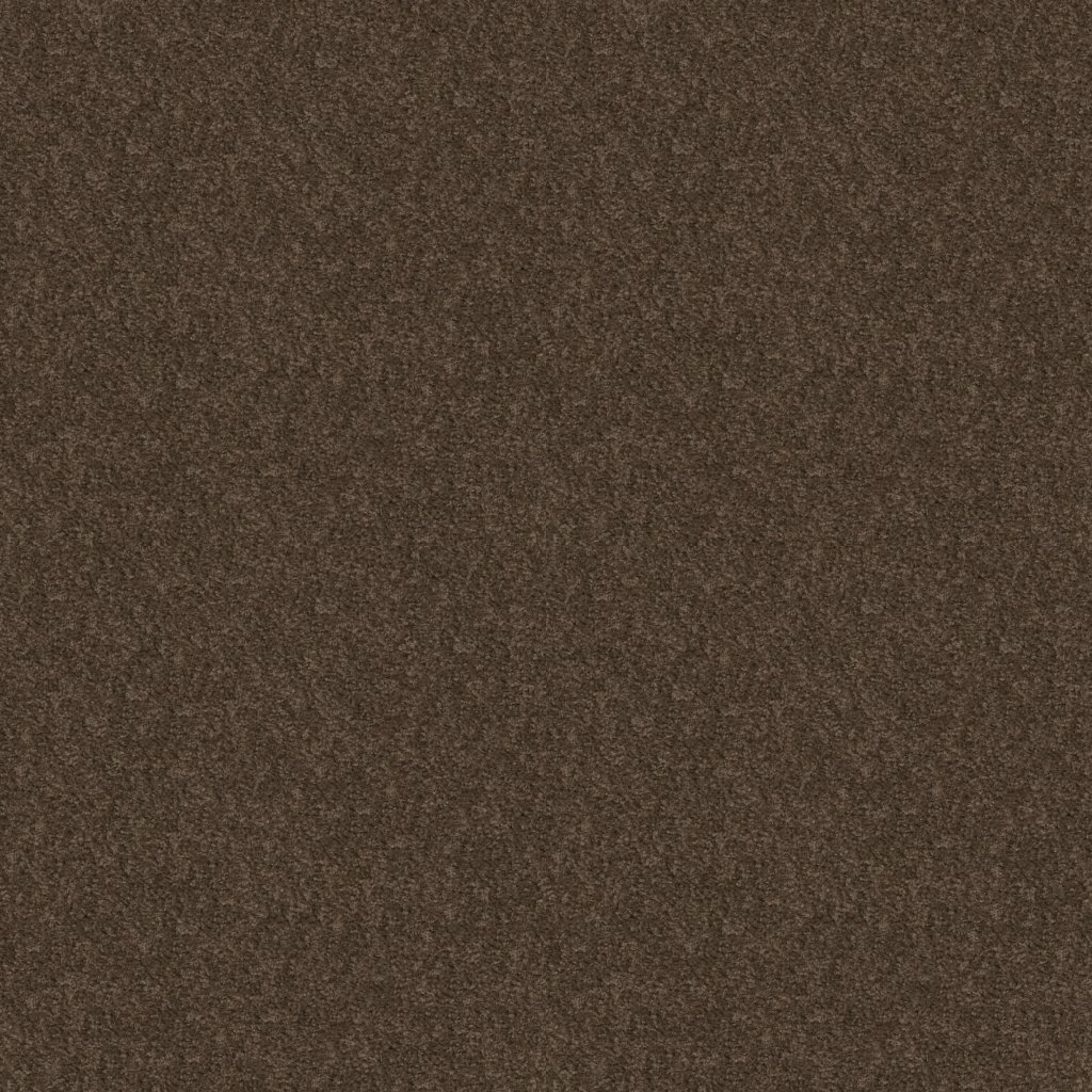 Shaw Floors EXPECT MORE (S) - Chocolate Chip