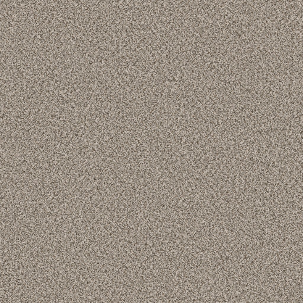Shaw Floors Feelin' Alright - Stepping Stone