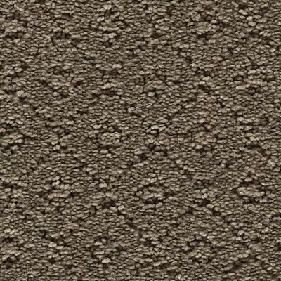 Mohawk Remarkable Elegance - Dust Bowl