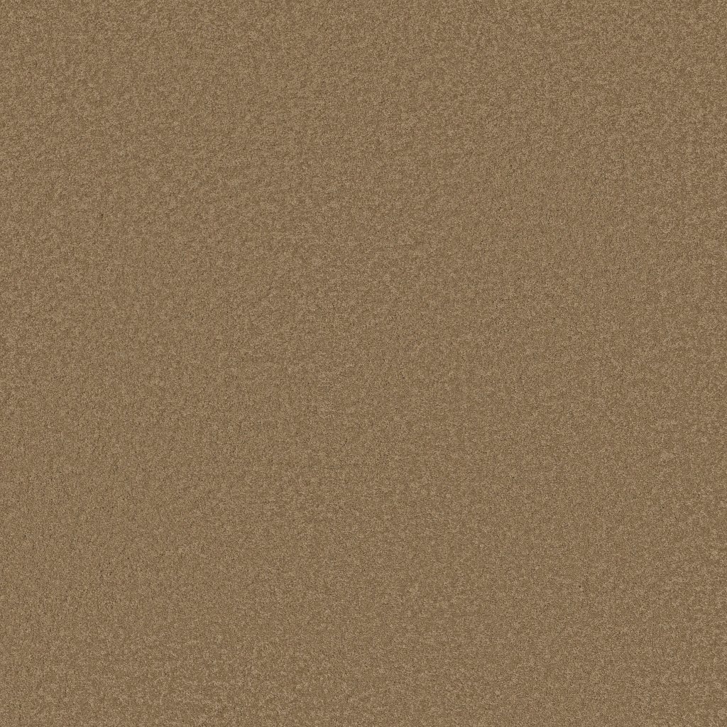 Shaw Floors Timeless Appeal III 12' - Spanish Tile