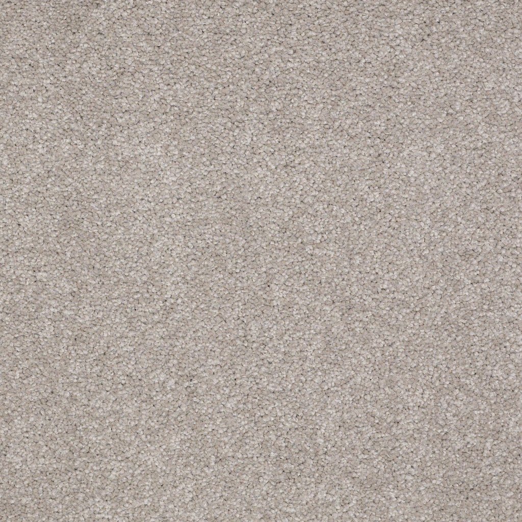 Shaw Floors Timeless Appeal I 15' - Soft Shadow