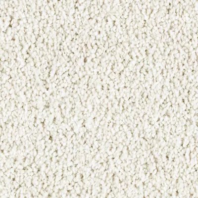 Mohawk Exquisite Beauty - Fine Silk