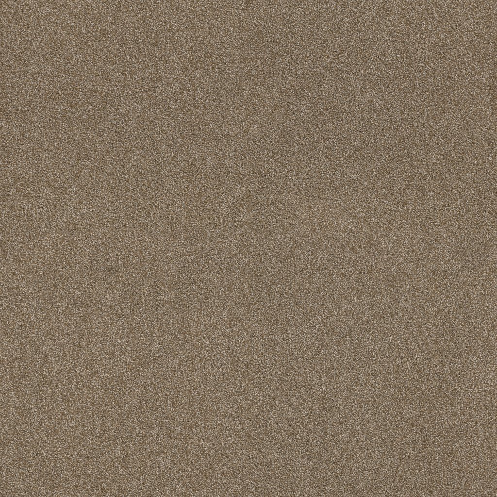 Shaw Floors Ocean View - Lodge