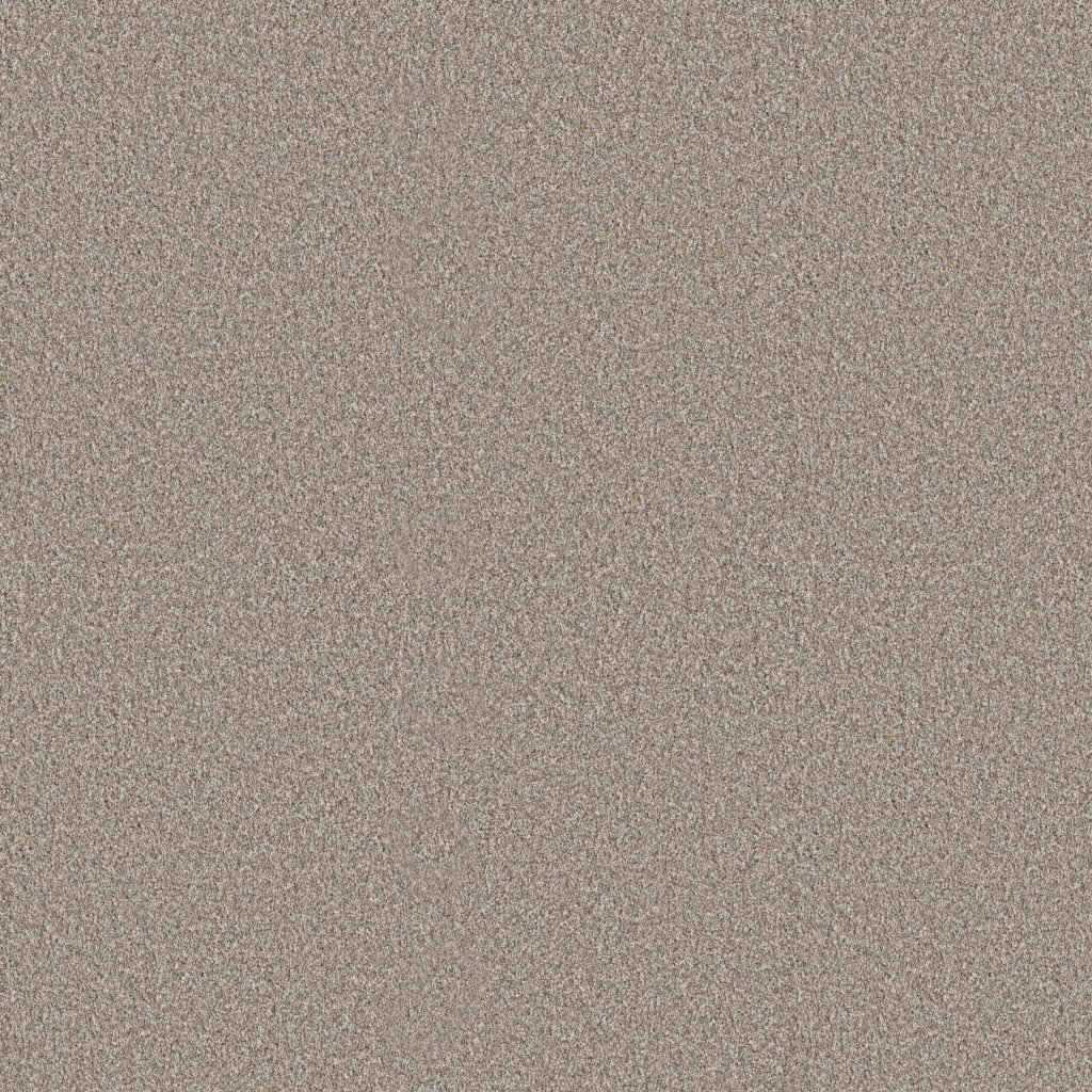 Shaw Floors Elevated I - Dawn Beige