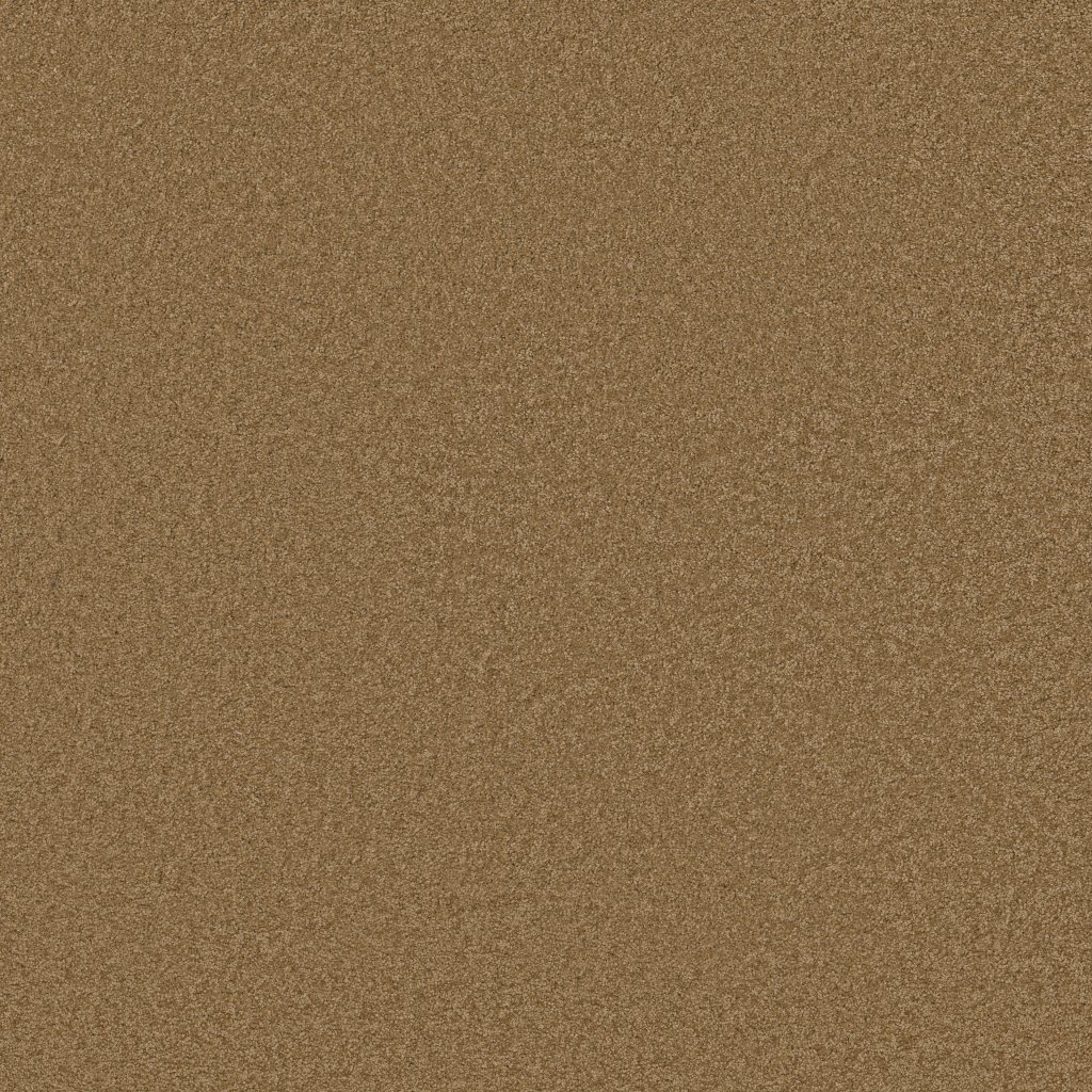 Shaw Floors Around The House III - English Toffee