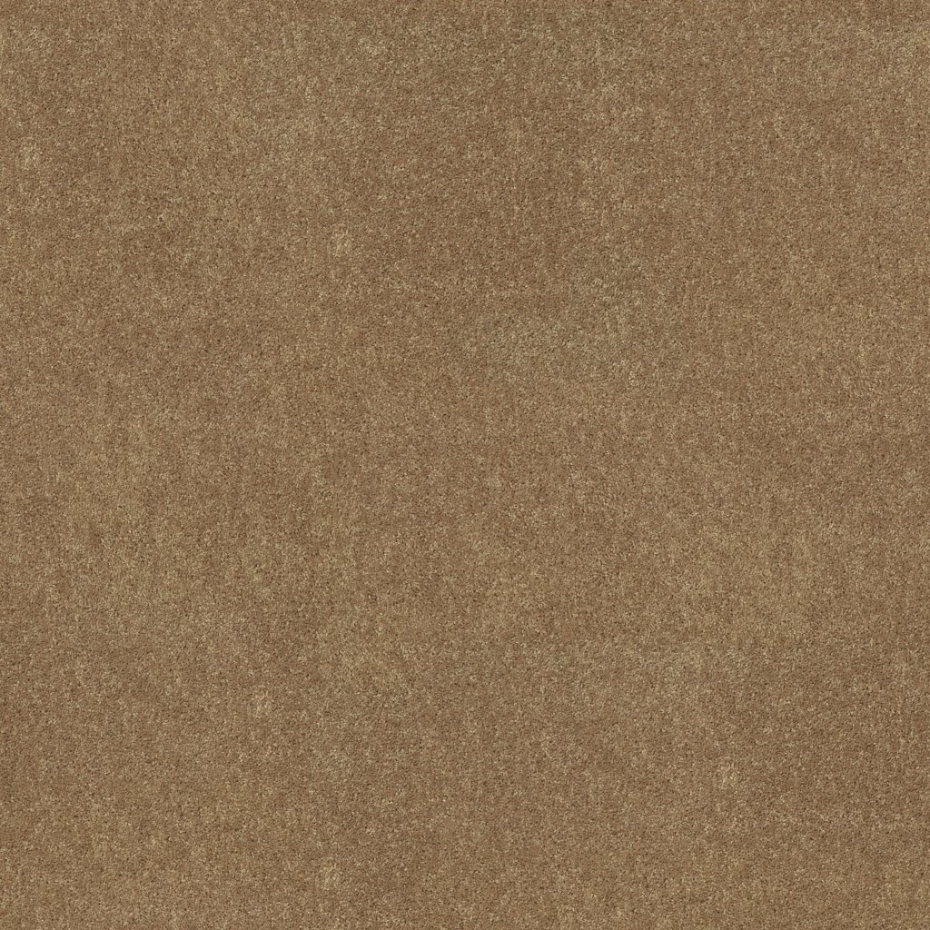 Shaw Floors Royal Portrush III 12' - Taffy