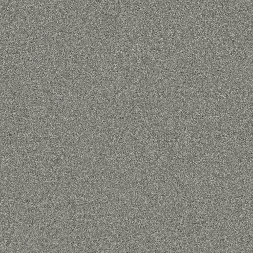 Shaw Floors Why Not Me - Mindful Gray