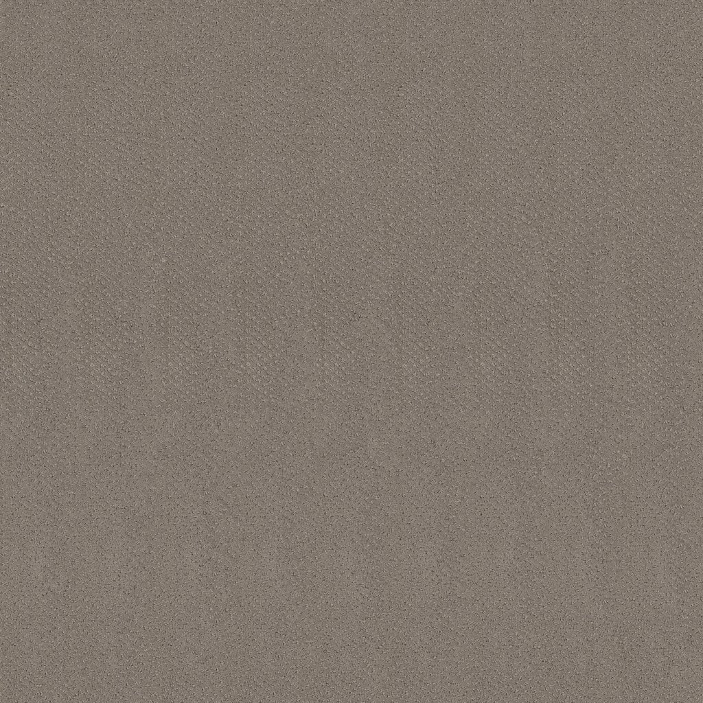 Shaw Floors Mainstay - River Run