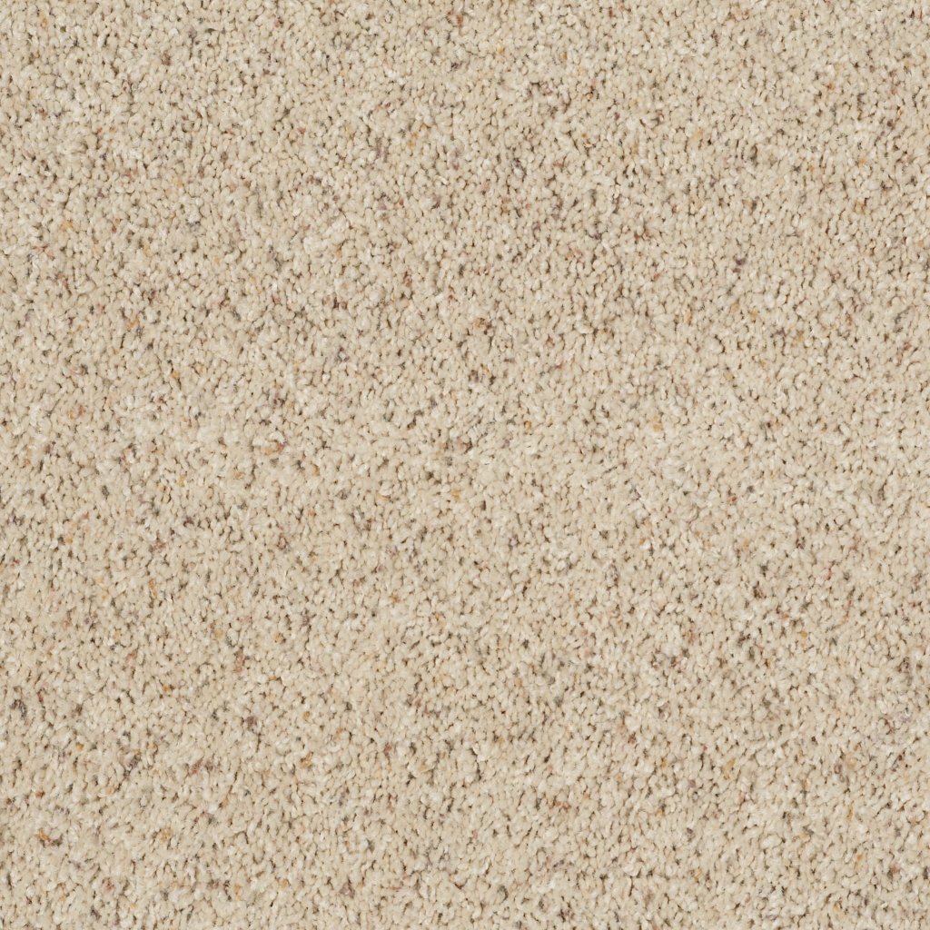 Shaw Floors Complete Allure (B) - Misty Mica