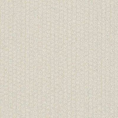 Shaw Floors Quintero - Canvas