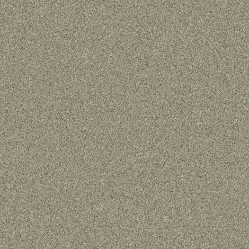 Shaw Floors Velvet Touch II - Organic Grown