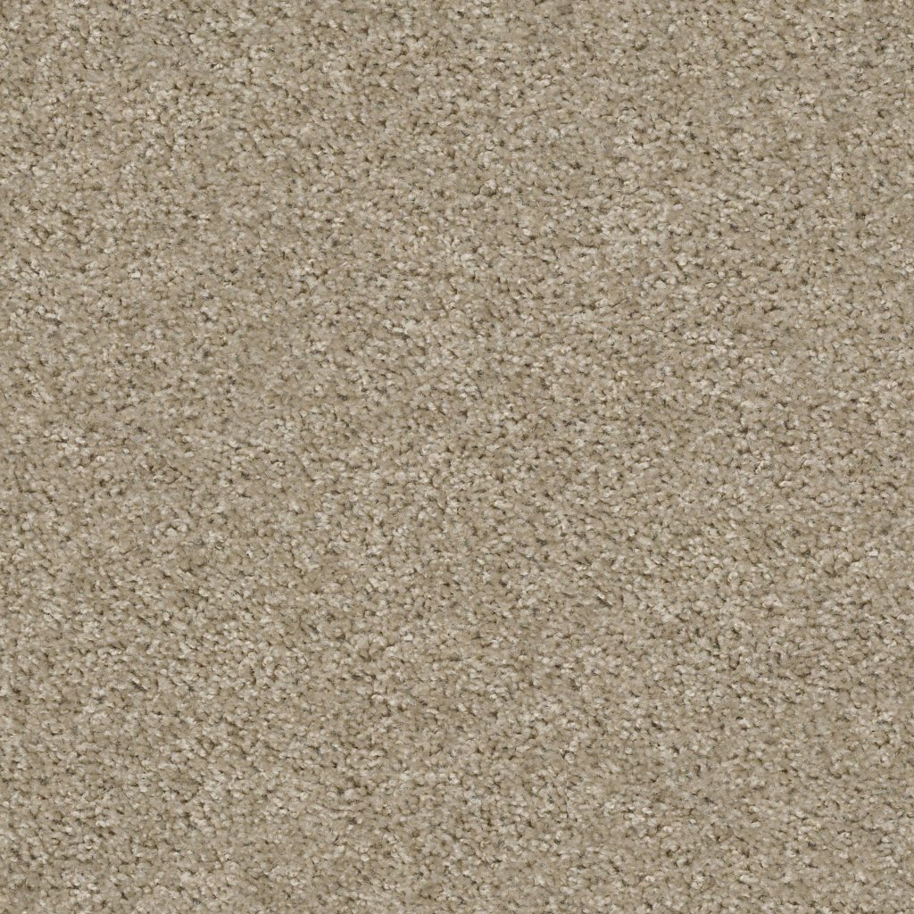 Shaw Floors Valiant - Balboa Mist