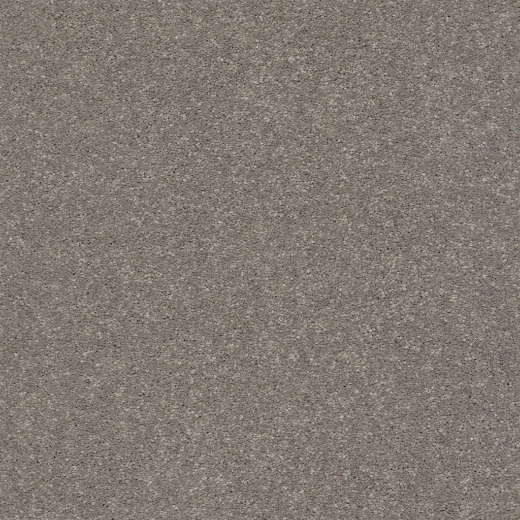 Shaw Floors WELL GROUNDED II 15 - Tree Bark