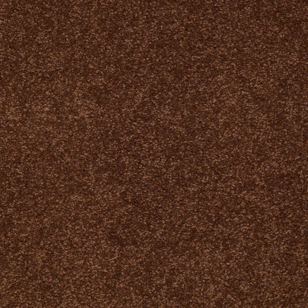 Shaw Floors Ultimate Expression 12' - Tortoise Shell