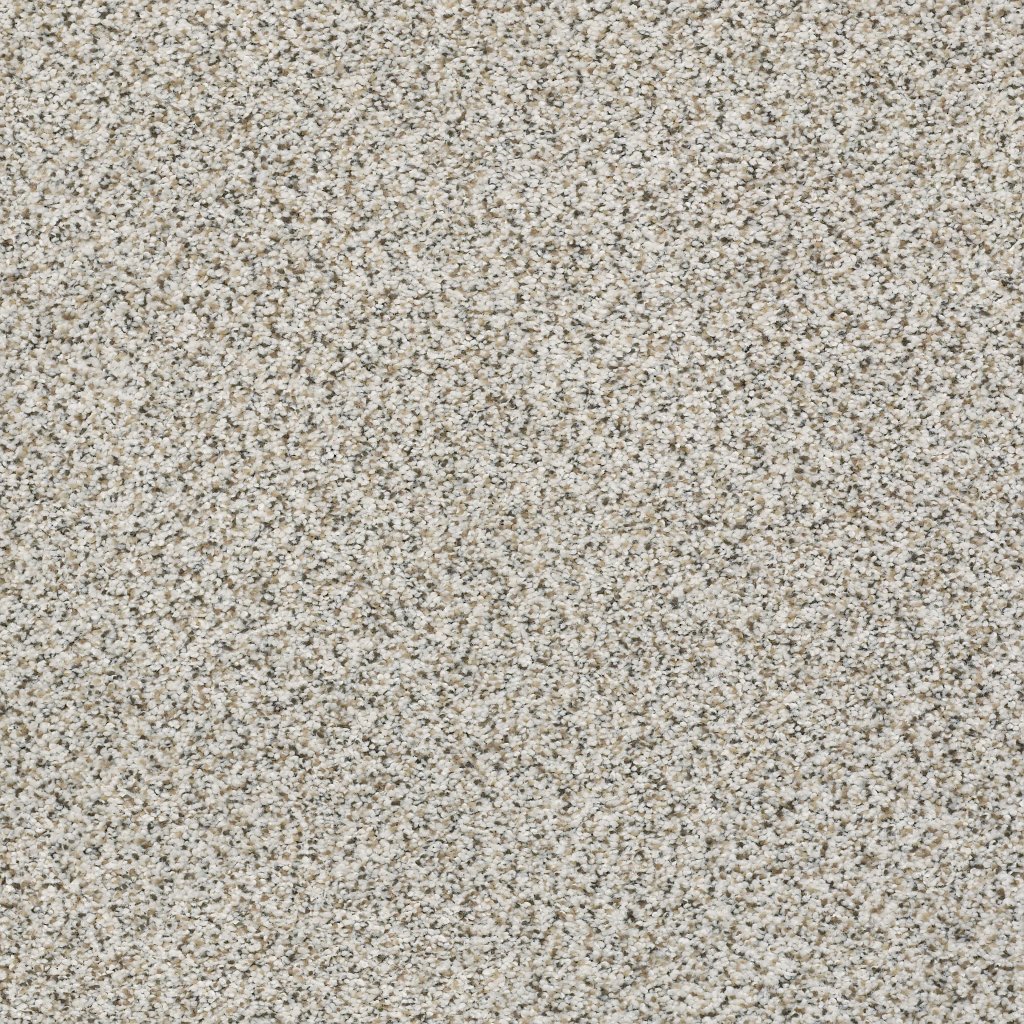 Shaw Floors Elemental Mix III - Snowbound