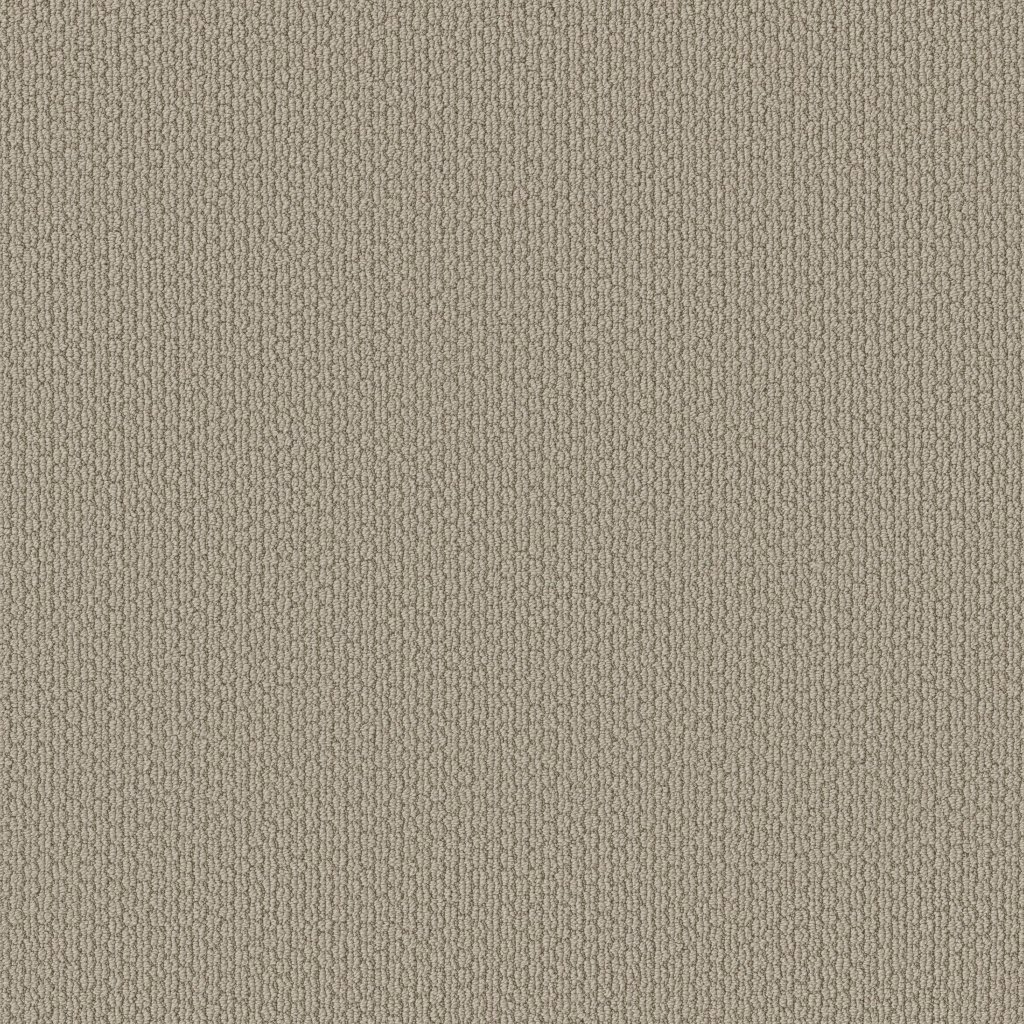 Shaw Floors Cathedral Hill II - Timeless