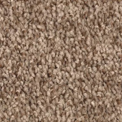 Mohawk Tonal Chic II - Desert Crackle