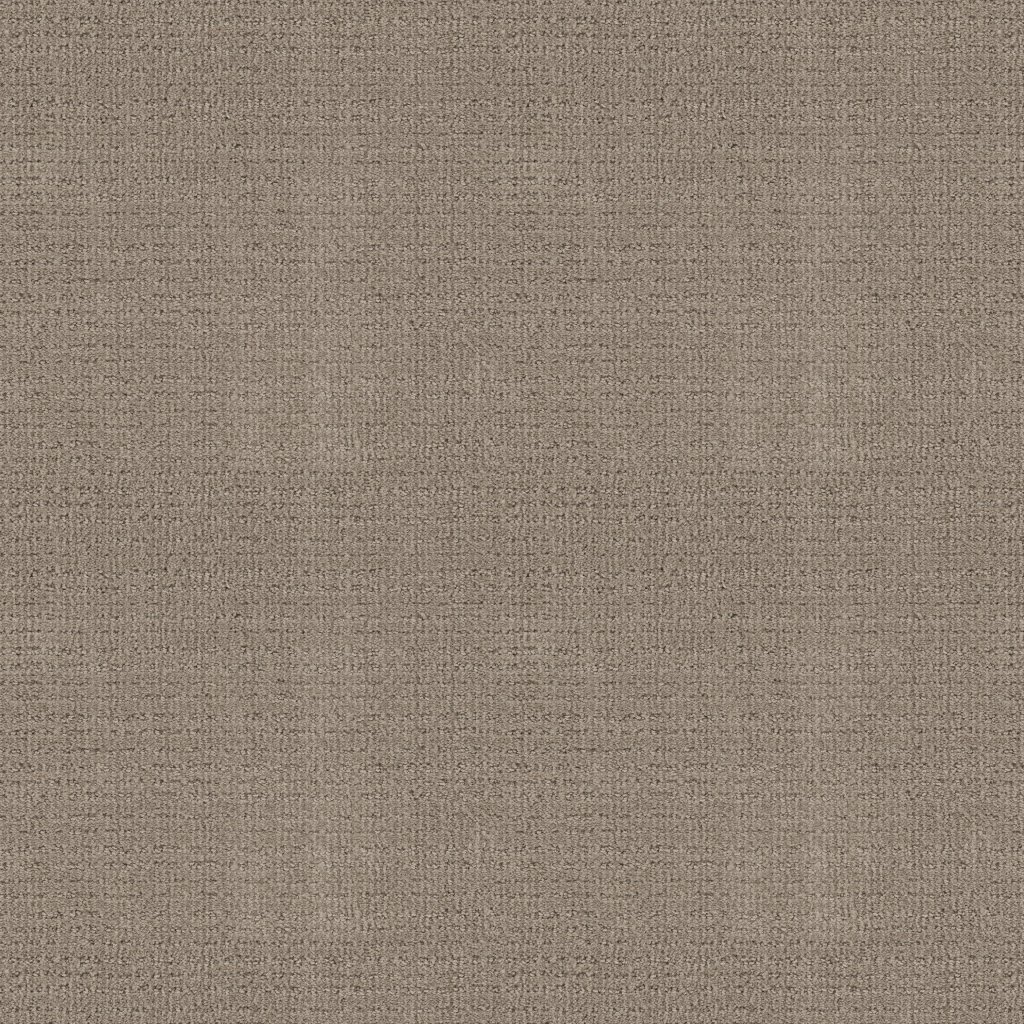 Shaw Floors Sierra Vista - Park Avenue