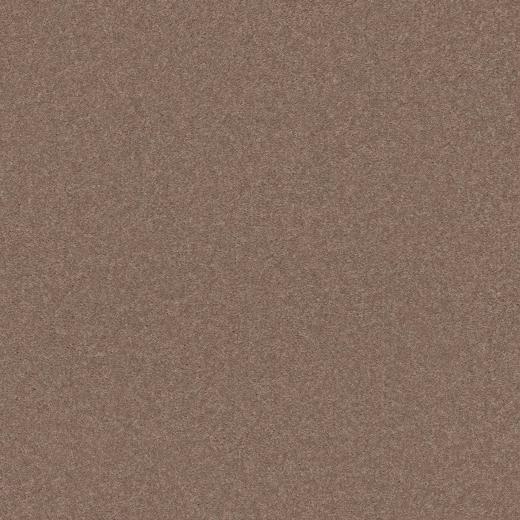 Shaw Floors Well Played I 15' - Pebble Creek