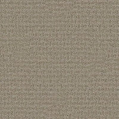 Shaw Floors Propel - Gray Flannel