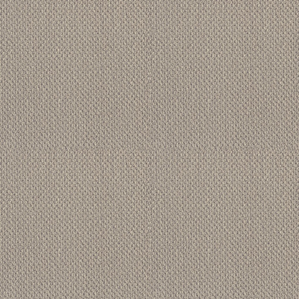 Shaw Floors Artist View Loop - Textured Canvas