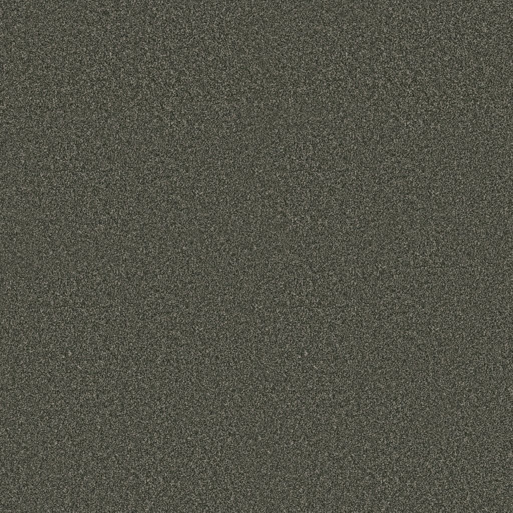 Shaw Floors Classic Tone - Evergreen