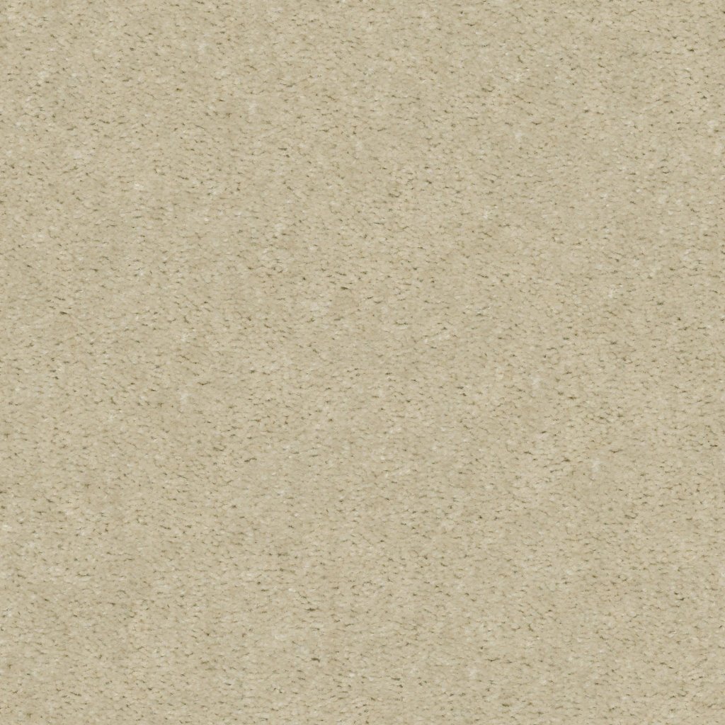 Shaw Floors INSPIRATIONAL - Quiet Beige