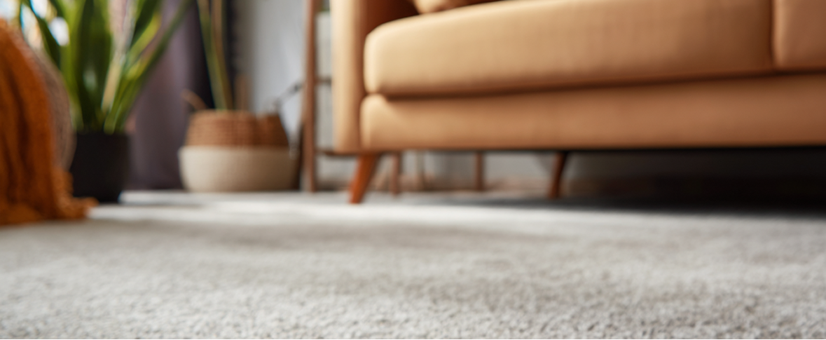 Plush wall-to-wall carpeting and modern sofa.