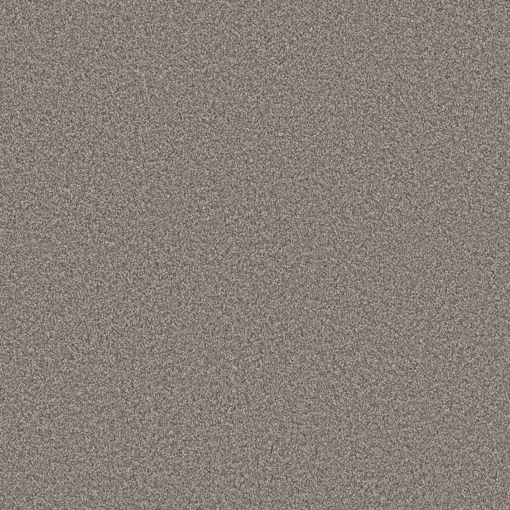 Shaw Floors Grand Influence II - Earth Tone