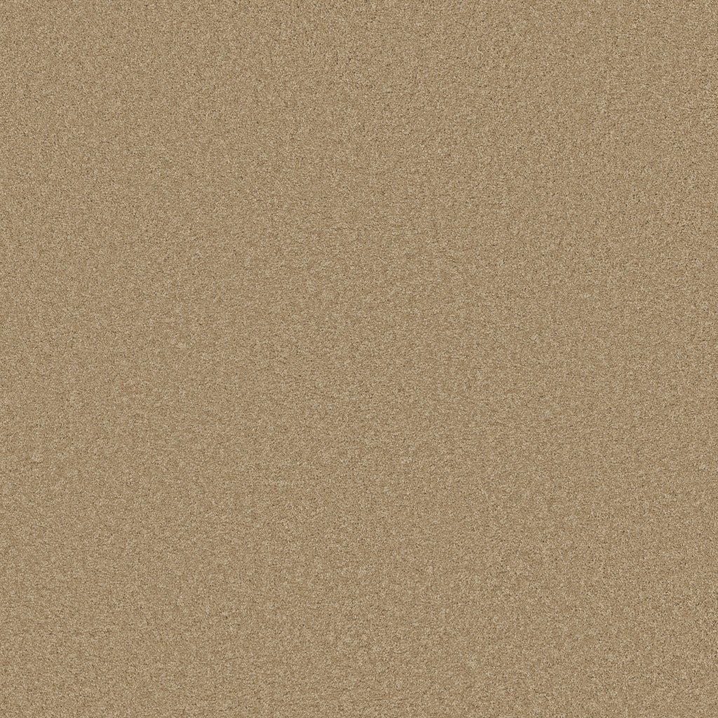 Shaw Floors Around The House III - Taffeta