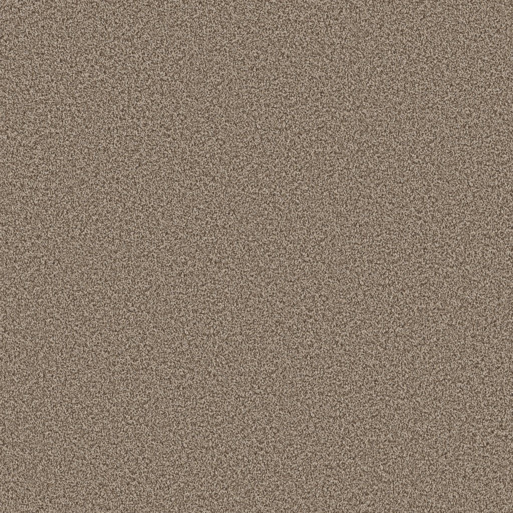 Shaw Floors Artistic Fusion I - Cameo