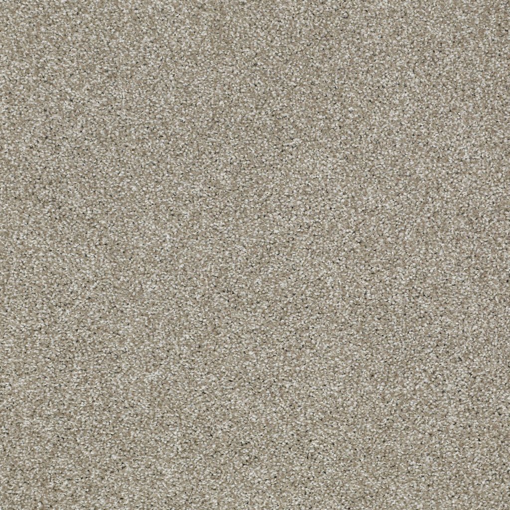 Shaw Floors Sun Drenched - Gray Flannel