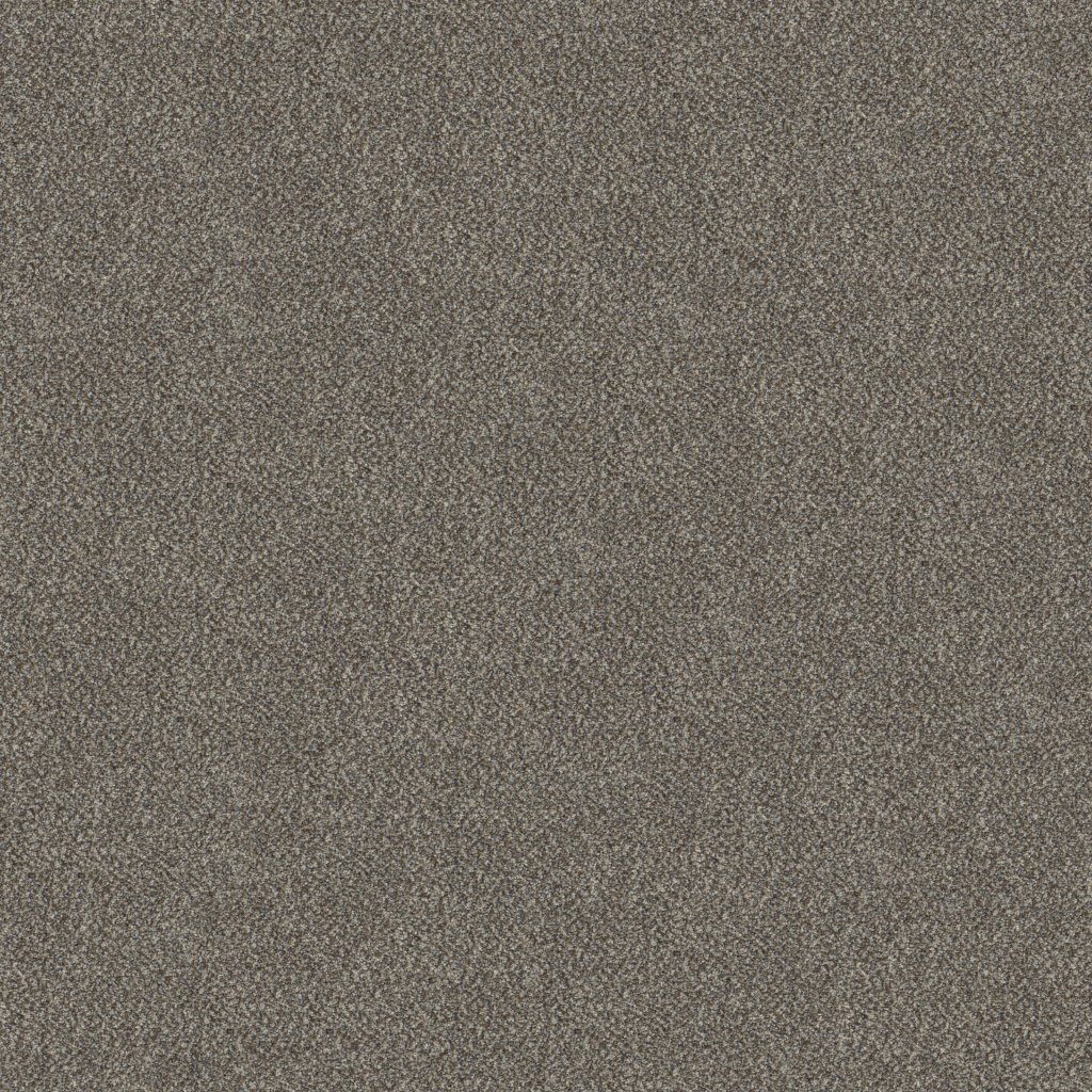 Shaw Floors Truspirit I - City Scape