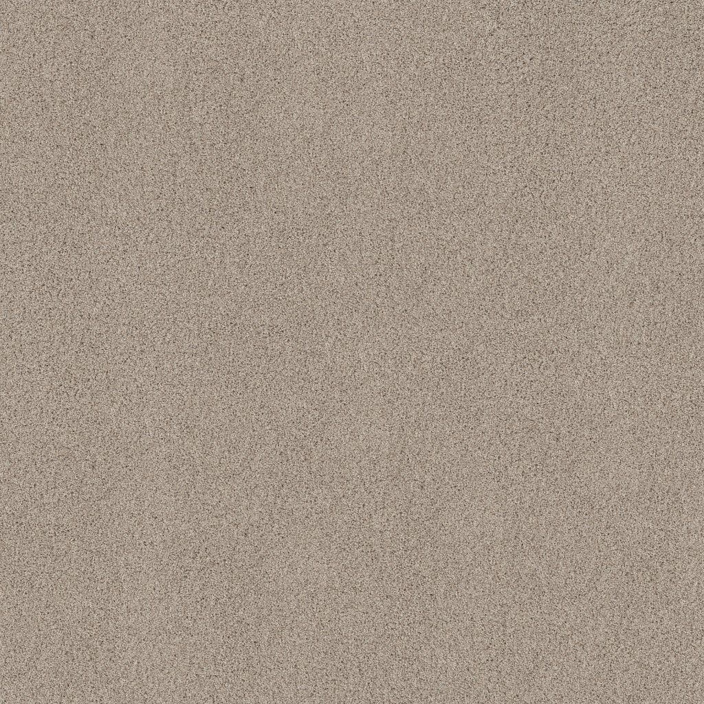 Shaw Floors Always Mine - Smoky Suede