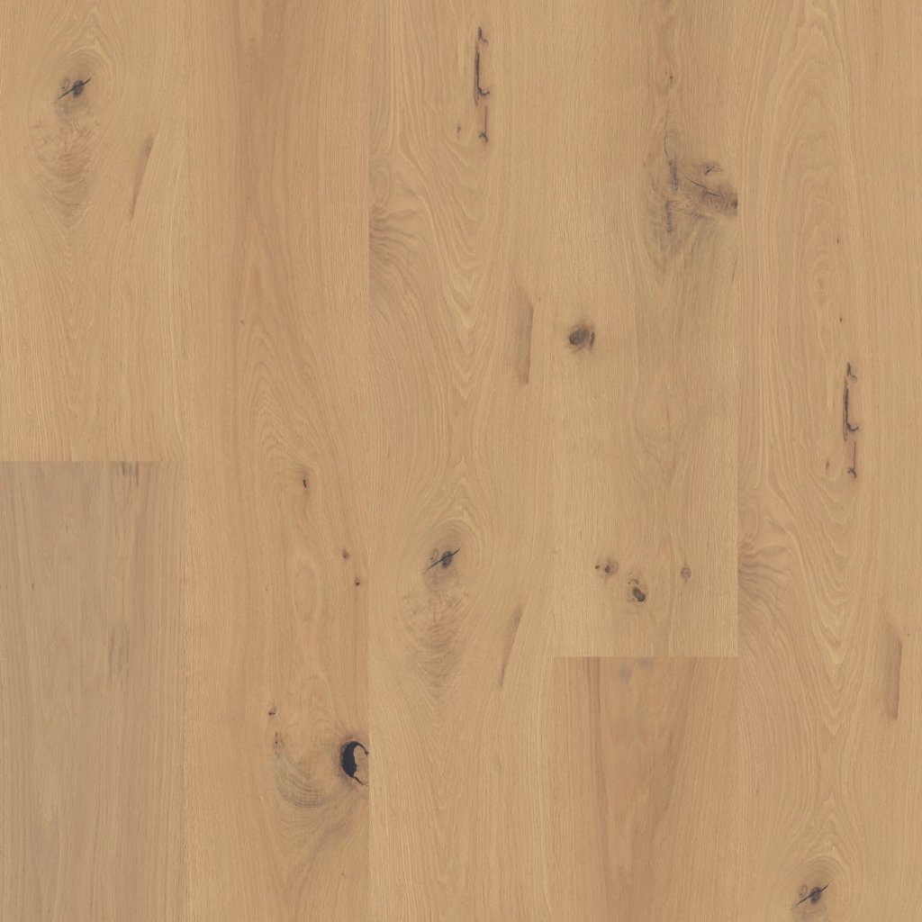 Shaw Floors Expressions 9.5" - Harmony
