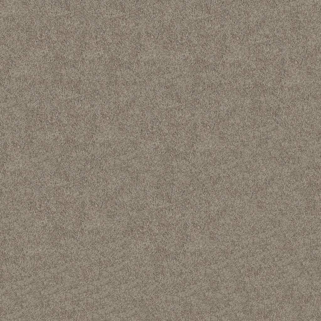 Shaw Floors What's Up - Mocha Cream