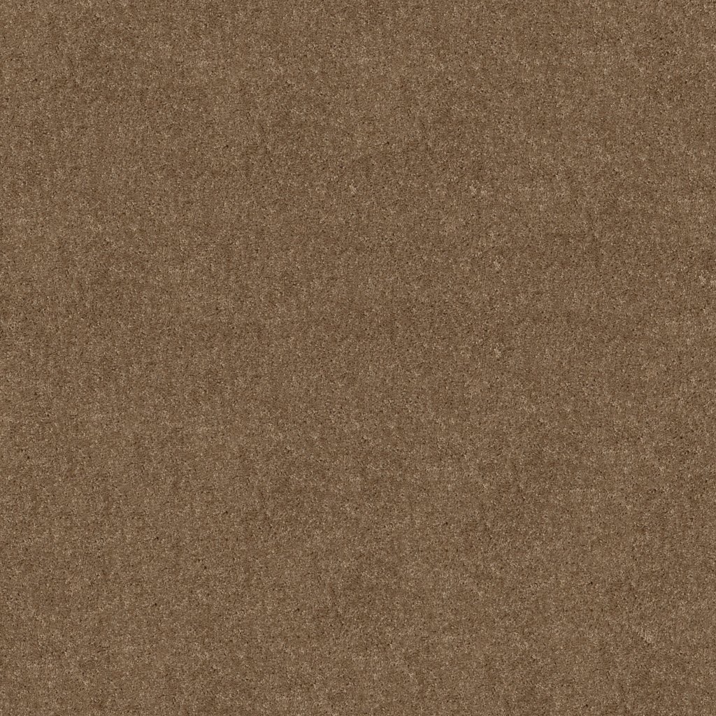 Shaw Floors Hot Topic - Meadowlark