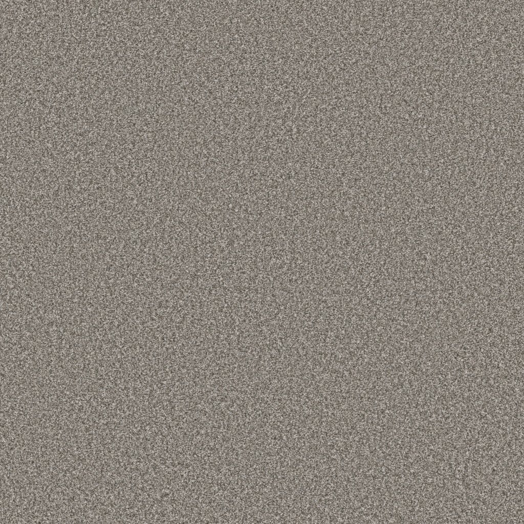 Shaw Floors Tweed Comfort II - Sing Along