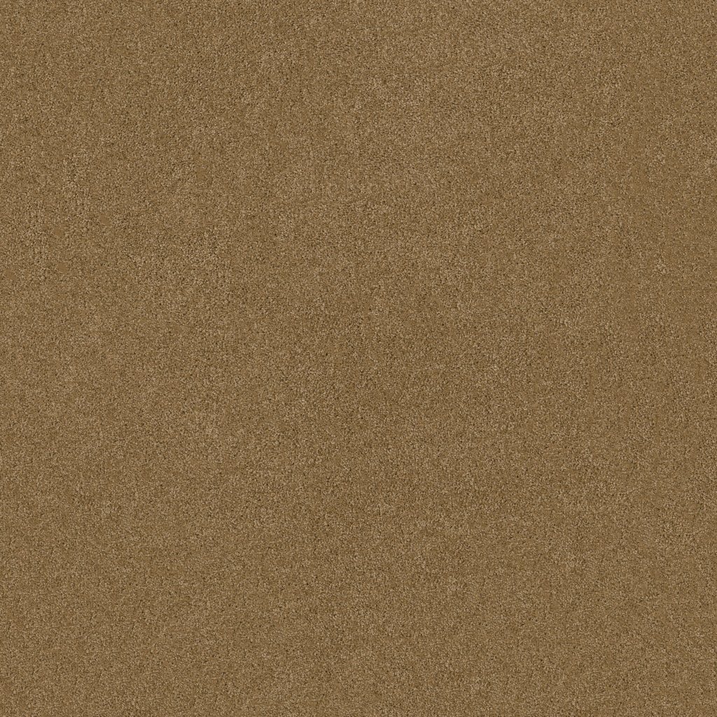 Shaw Floors Salina I - Tiger Eye
