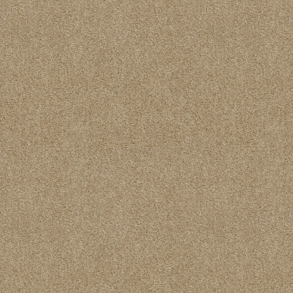 Shaw Floors Valiant - Coronado
