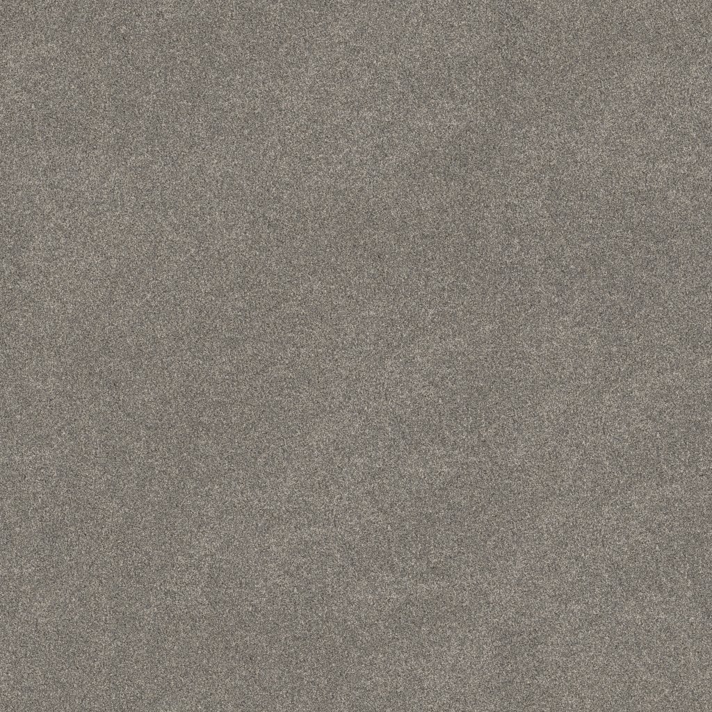 Shaw Floors Blended Touch II - Concrete