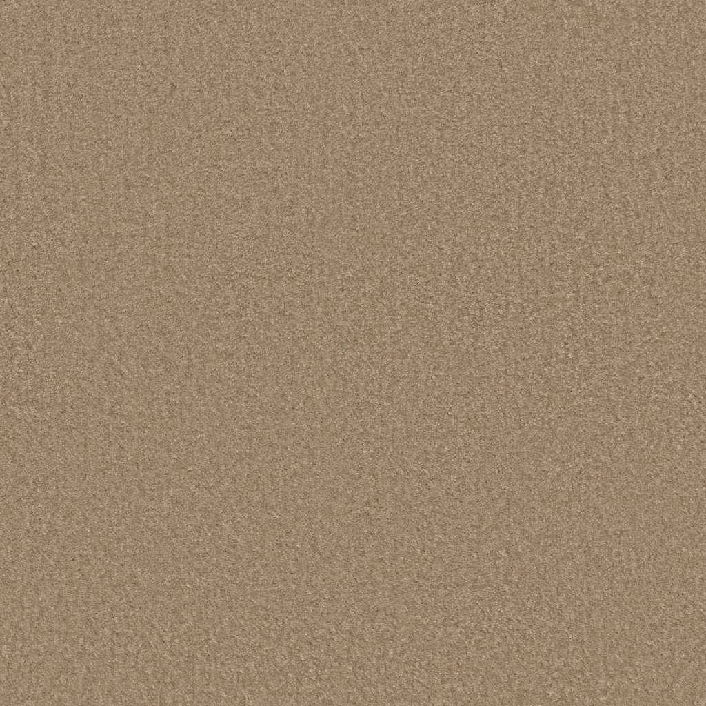 Shaw Floors Sprinter - Tree Trunk