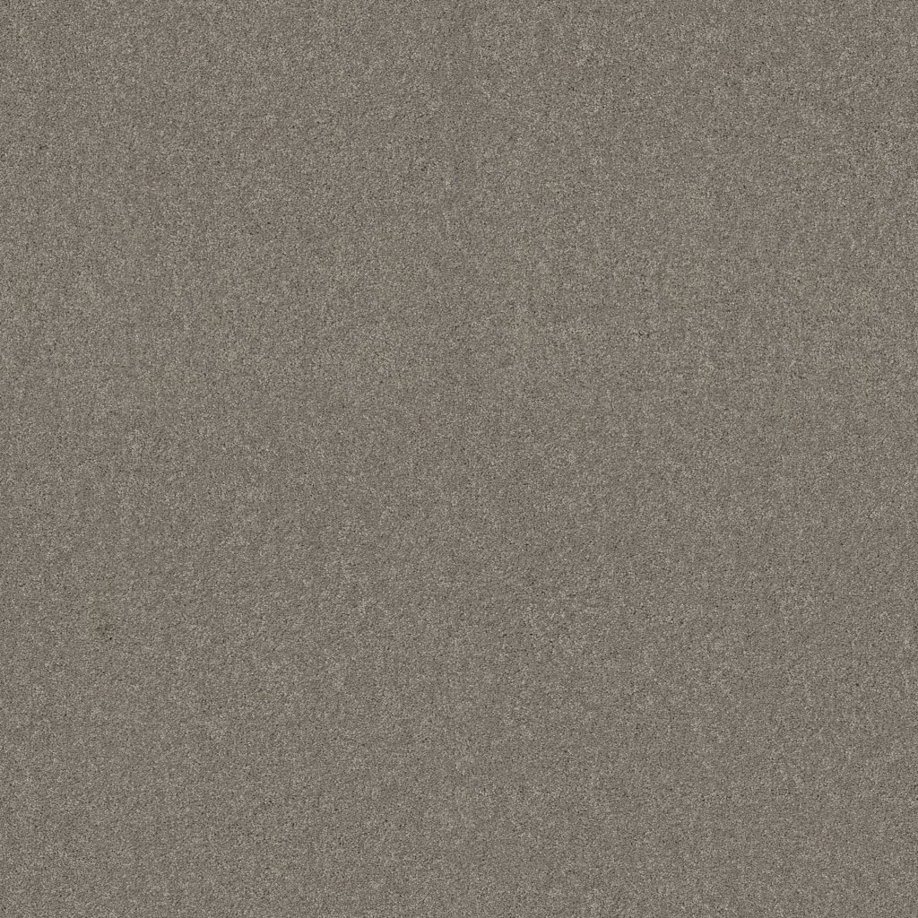 Shaw Floors YOU KNOW IT - Radiance