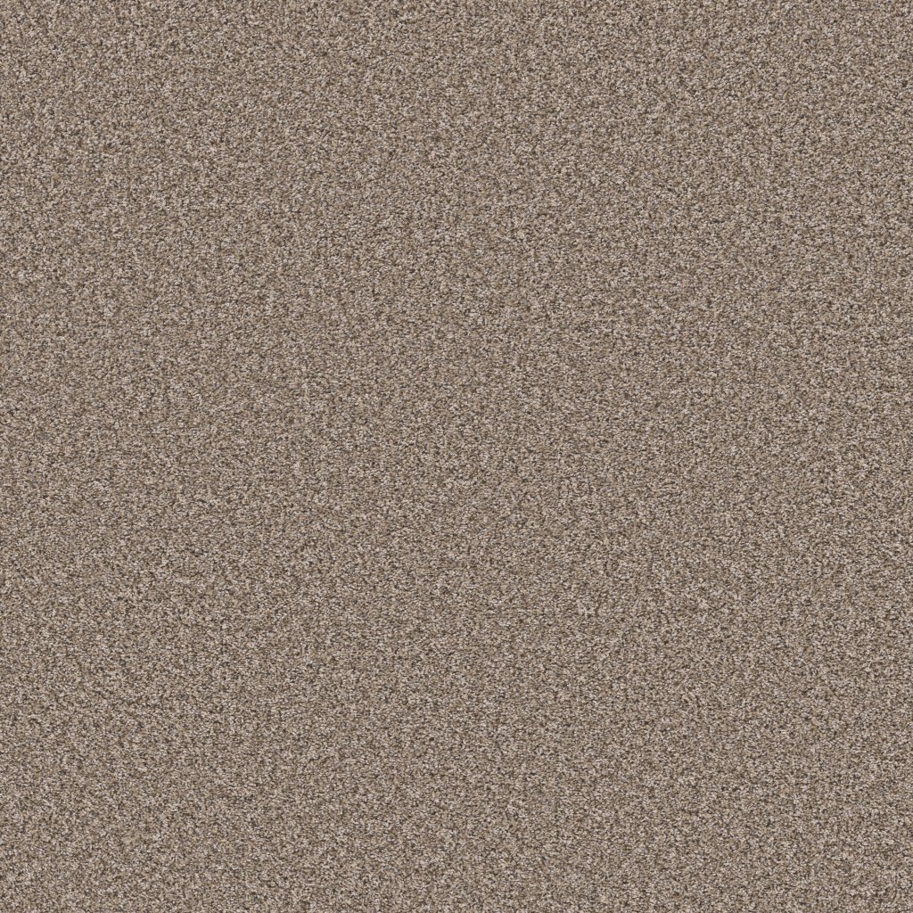 Shaw Floors Soft Radiance - Folklore