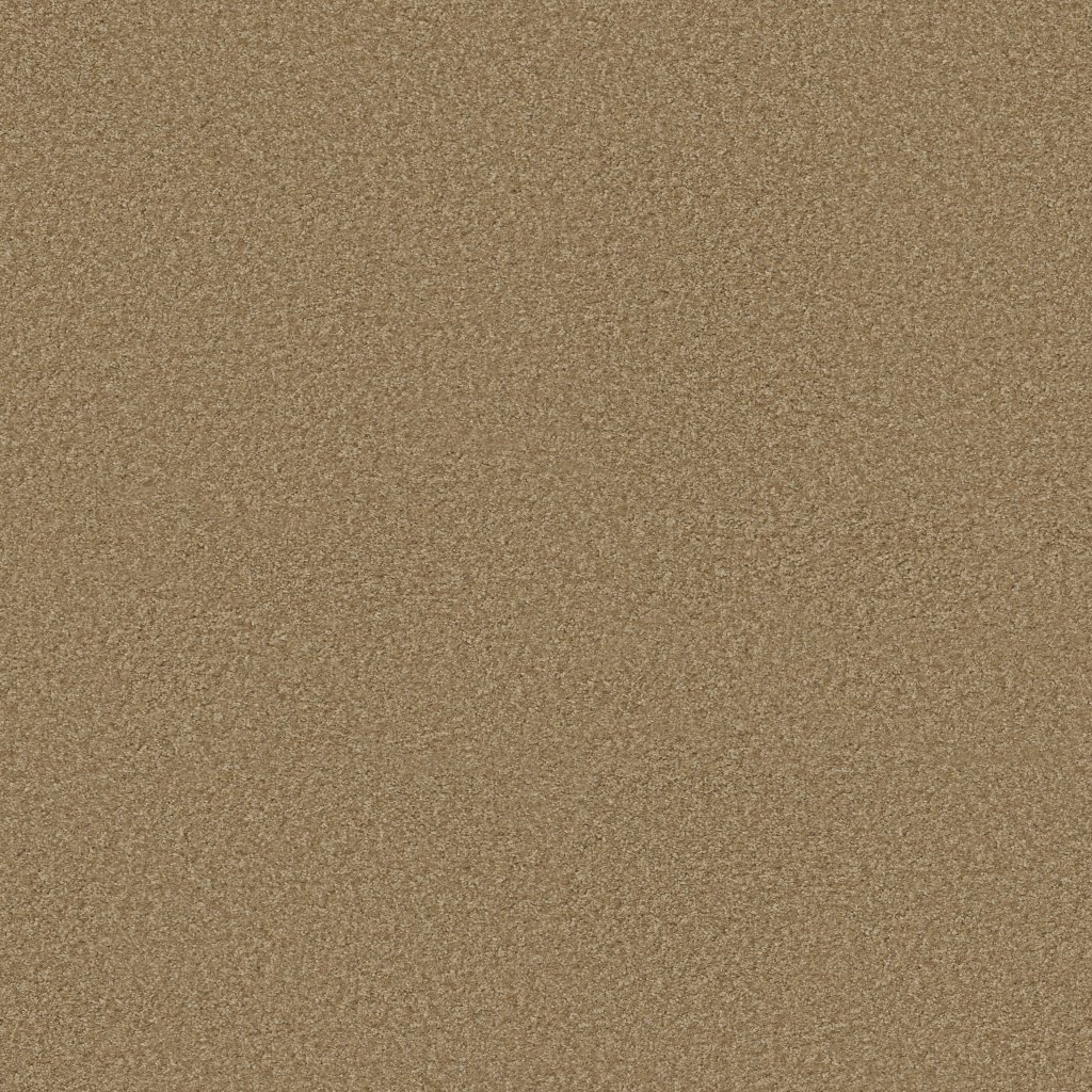 Shaw Floors Vitalize (S) 12' - Wicker