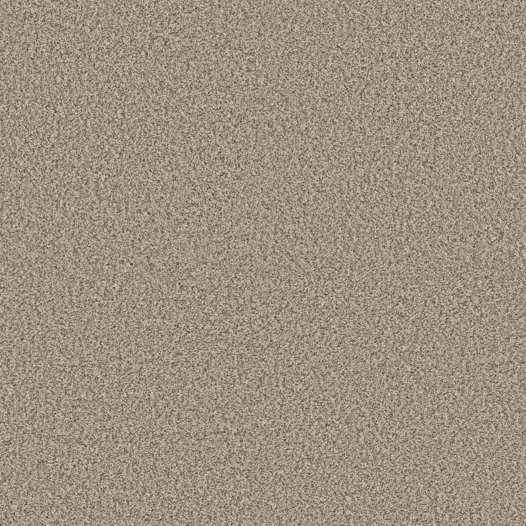 Shaw Floors Renewed Energy II - Sandstone